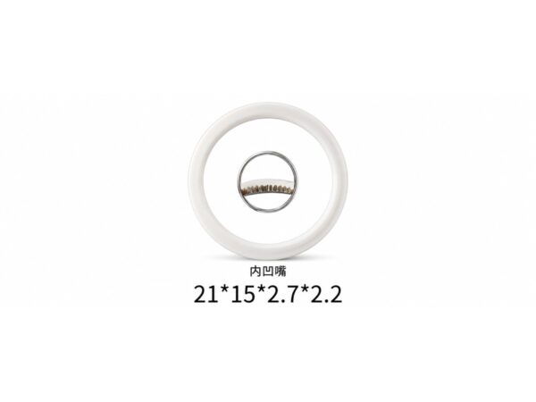 Sealing Ring Chaoquangweiye — 21×15×2.7×2.2mm