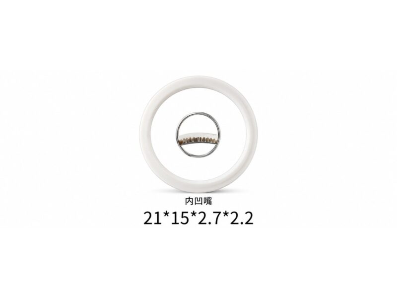 Sealing Ring Chaoquangweiye — 21×15×2.7×2.2mm